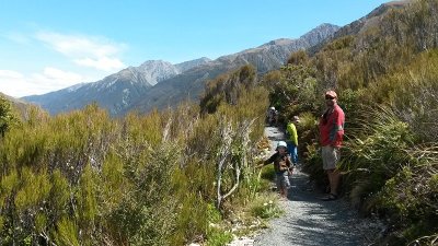 Dobson Nature Walk