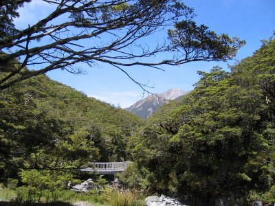 Bealey Valley - The Chasm